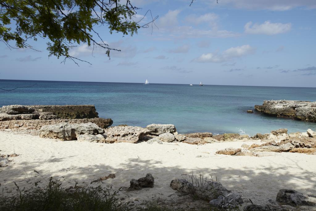 Villa Bougainvillea Aruba, The Tango Suite Палм Бийч Екстериор снимка