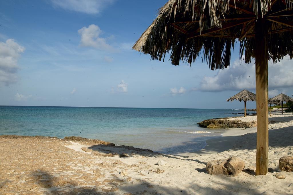 Villa Bougainvillea Aruba, The Tango Suite Палм Бийч Екстериор снимка